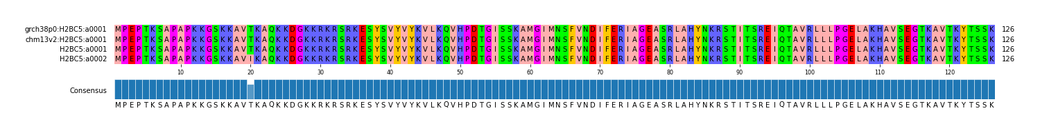 Multiple Alignments (by translate haplotype similarity)