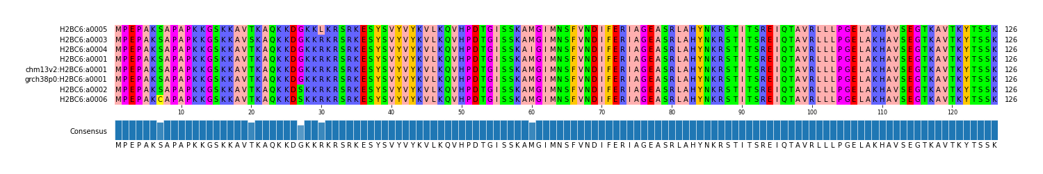 Multiple Alignments (by translate haplotype similarity)