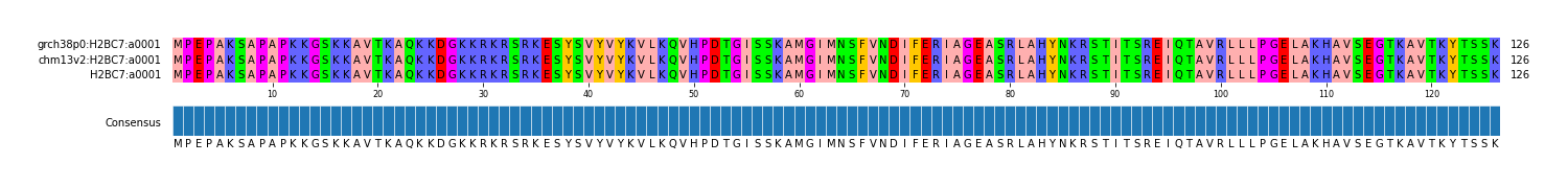 Multiple Alignments (by translate haplotype similarity)