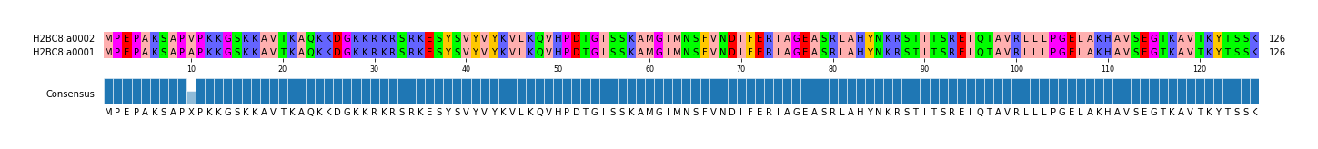 Multiple Alignments (by translate haplotype similarity)