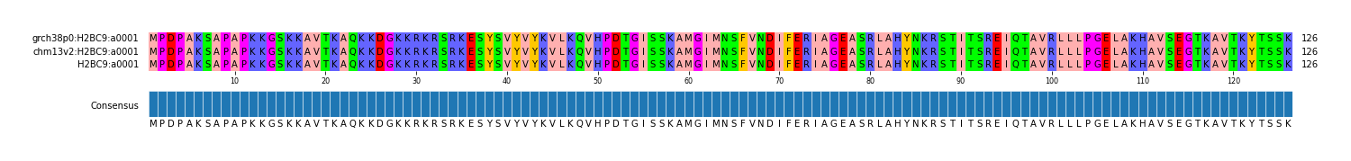 Multiple Alignments (by translate haplotype frequency)