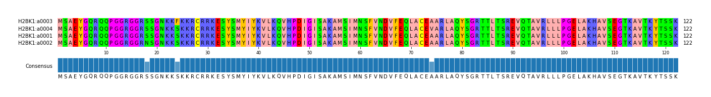 Multiple Alignments (by translate haplotype similarity)