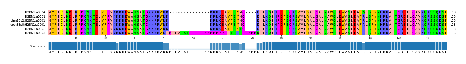 Multiple Alignments (by translate haplotype similarity)