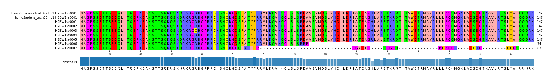 Multiple Alignments (by translate haplotype frequency)