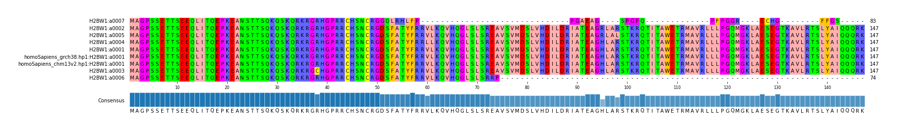 Multiple Alignments (by translate haplotype similarity)