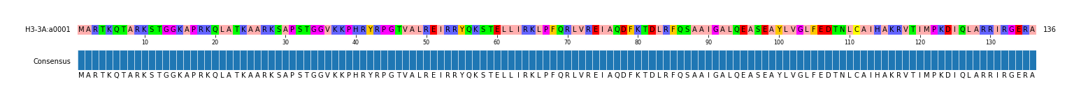 Multiple Alignments (by translate haplotype similarity)