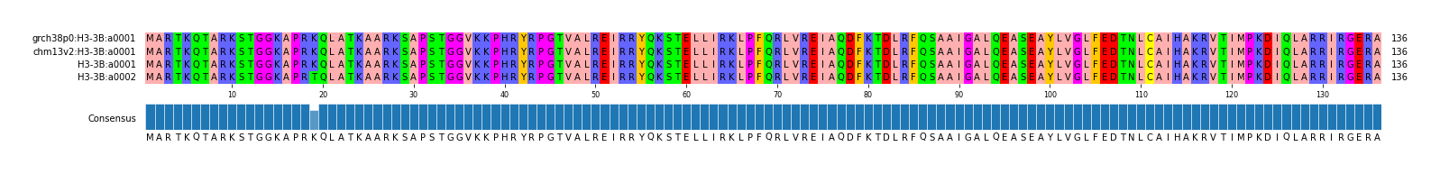 Multiple Alignments (by translate haplotype similarity)