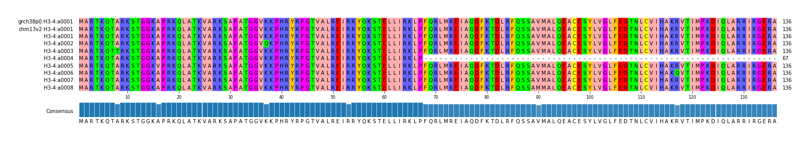 Multiple Alignments (by translate haplotype frequency)