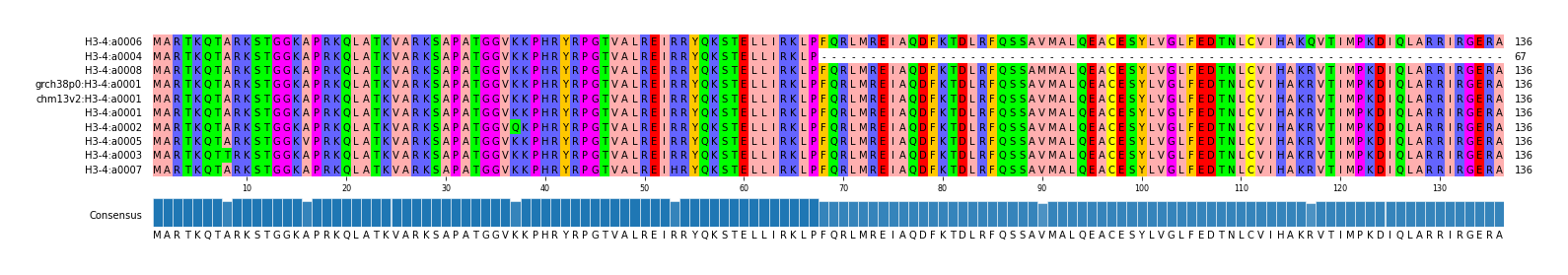Multiple Alignments (by translate haplotype similarity)