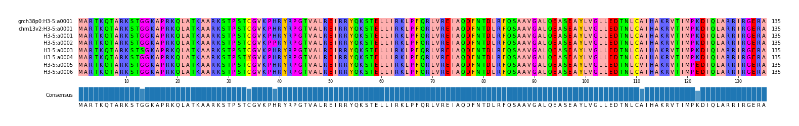 Multiple Alignments (by translate haplotype frequency)