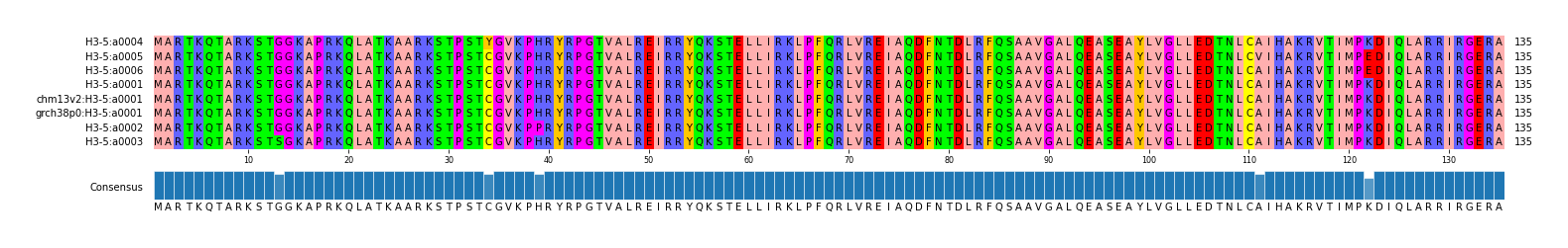 Multiple Alignments (by translate haplotype similarity)