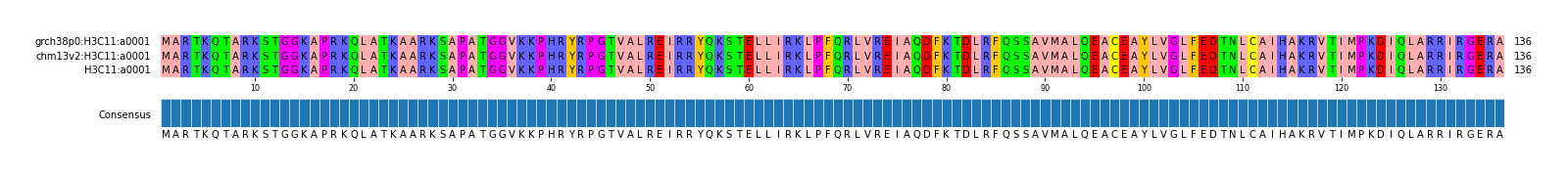 Multiple Alignments (by translate haplotype similarity)