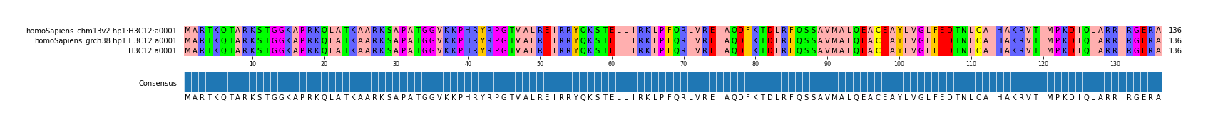 Multiple Alignments (by translate haplotype similarity)