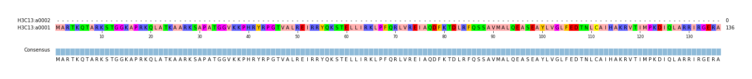 Multiple Alignments (by translate haplotype similarity)