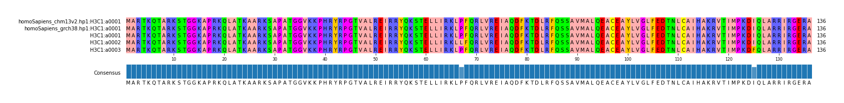 Multiple Alignments (by translate haplotype frequency)