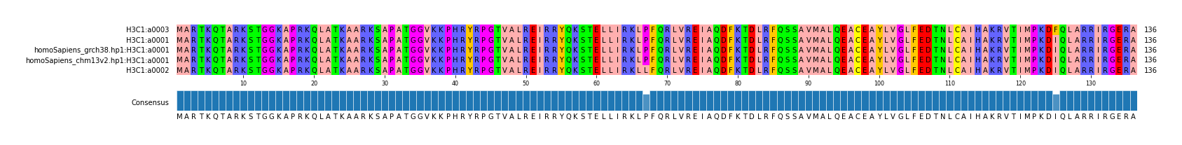 Multiple Alignments (by translate haplotype similarity)