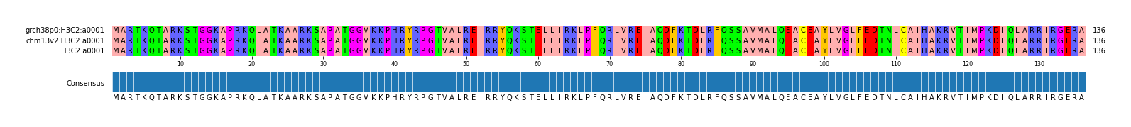 Multiple Alignments (by translate haplotype similarity)