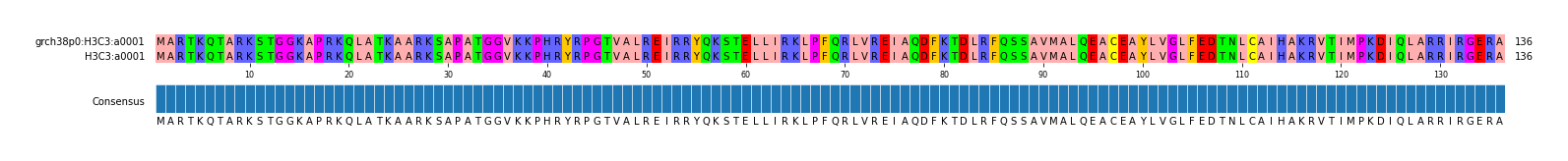 Multiple Alignments (by translate haplotype similarity)