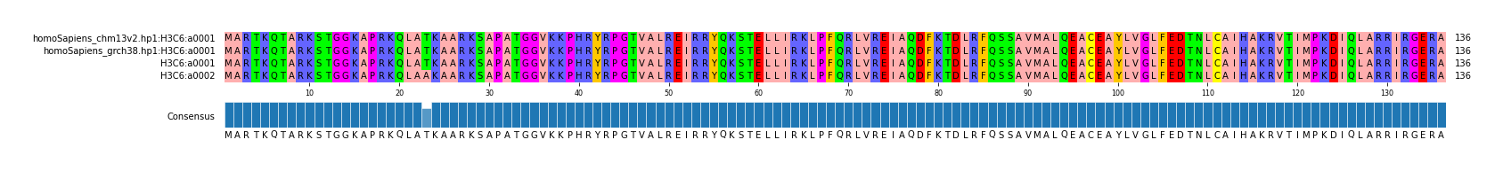 Multiple Alignments (by translate haplotype frequency)