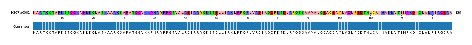 Multiple Alignments (by translate haplotype similarity)