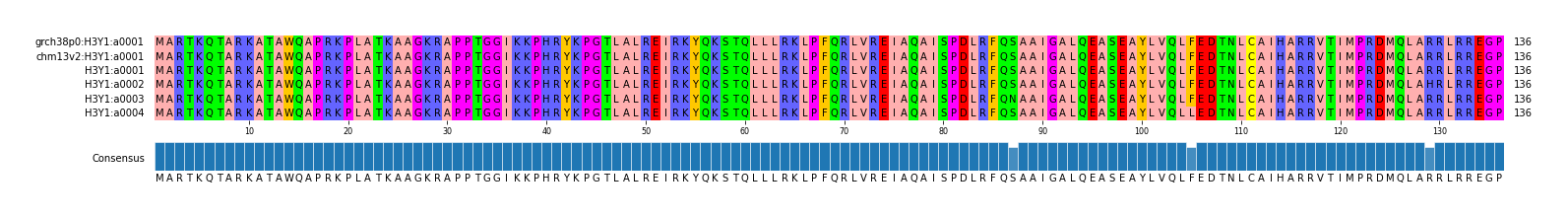 Multiple Alignments (by translate haplotype frequency)