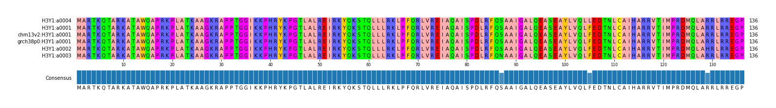 Multiple Alignments (by translate haplotype similarity)
