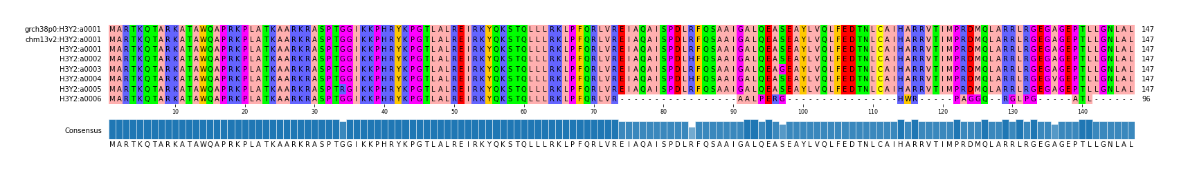 Multiple Alignments (by translate haplotype frequency)