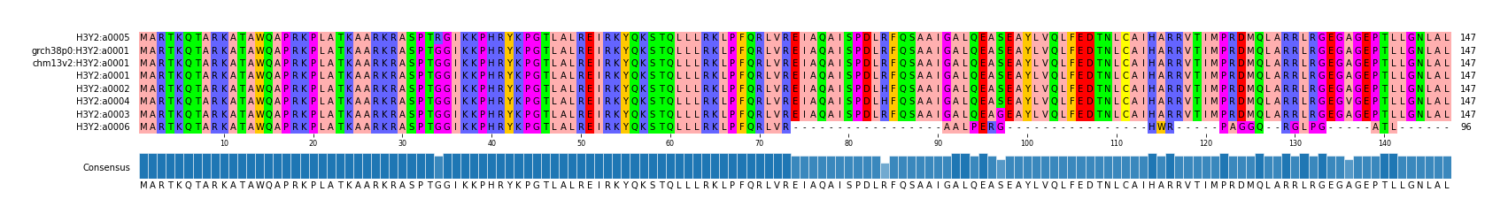 Multiple Alignments (by translate haplotype similarity)