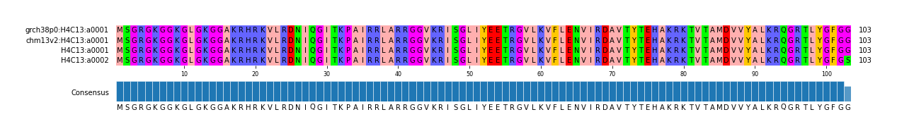 Multiple Alignments (by translate haplotype similarity)
