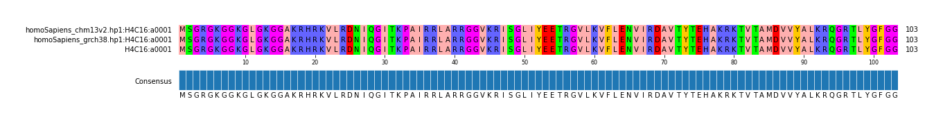 Multiple Alignments (by translate haplotype frequency)