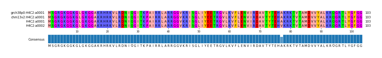 Multiple Alignments (by translate haplotype similarity)