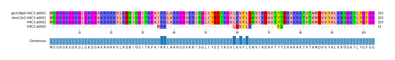 Multiple Alignments (by translate haplotype frequency)
