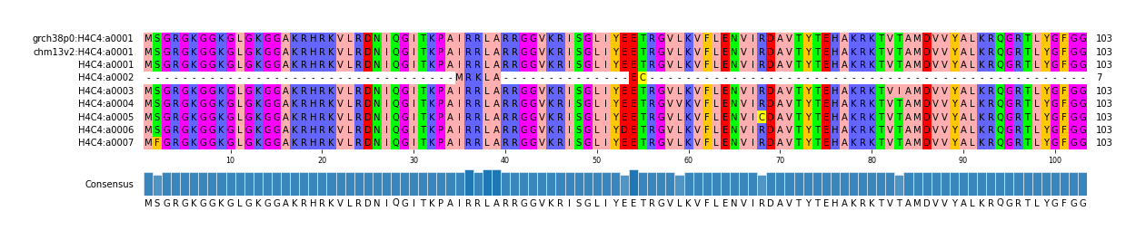 Multiple Alignments (by translate haplotype frequency)