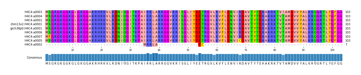 Multiple Alignments (by translate haplotype similarity)