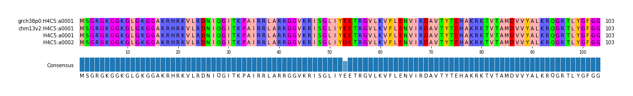 Multiple Alignments (by translate haplotype similarity)