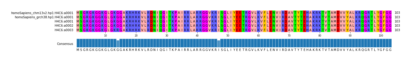 Multiple Alignments (by translate haplotype frequency)