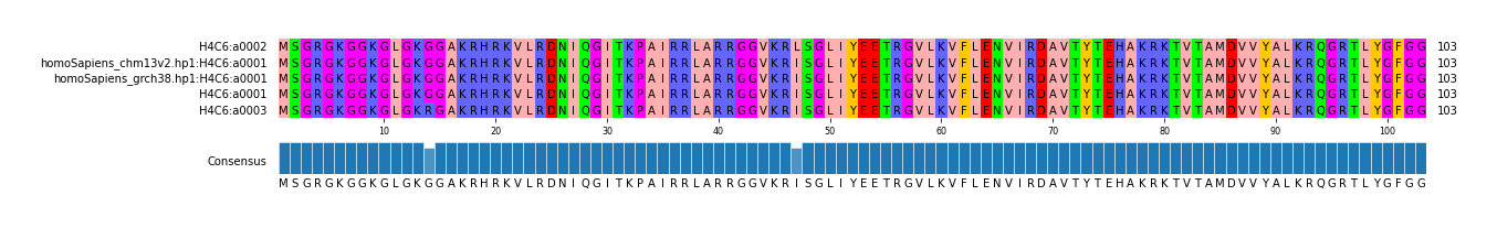 Multiple Alignments (by translate haplotype similarity)