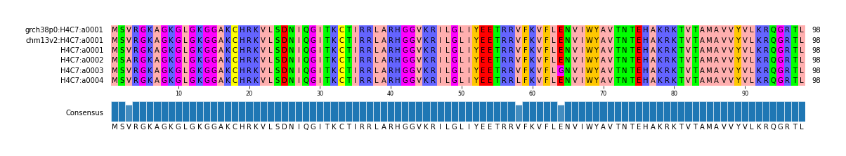 Multiple Alignments (by translate haplotype frequency)