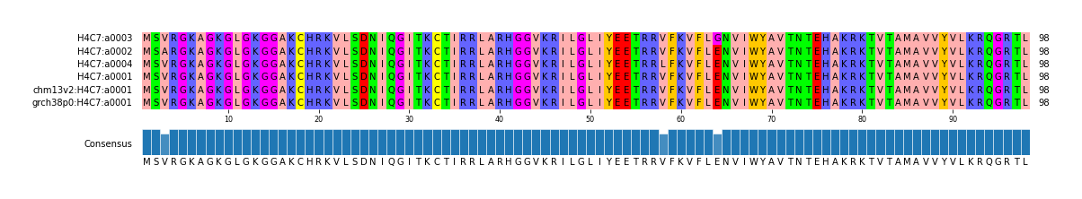 Multiple Alignments (by translate haplotype similarity)