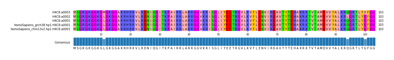 Multiple Alignments (by translate haplotype similarity)