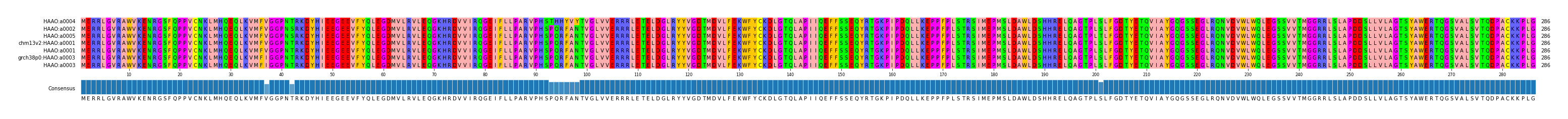 Multiple Alignments (by translate haplotype similarity)