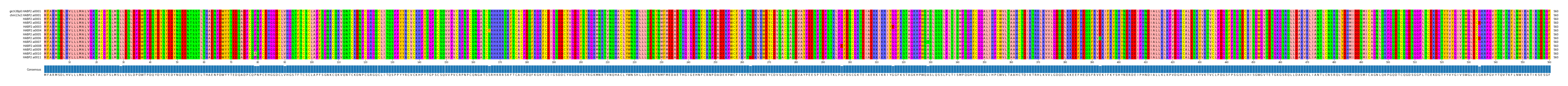 Multiple Alignments (by translate haplotype frequency)