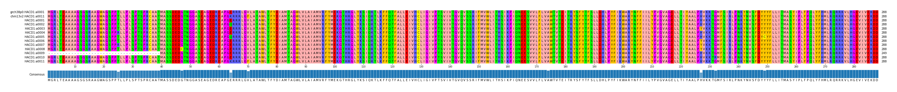 Multiple Alignments (by translate haplotype frequency)