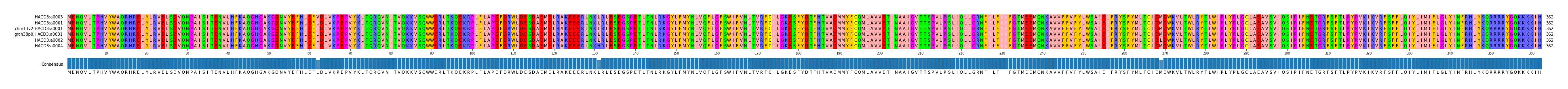 Multiple Alignments (by translate haplotype similarity)
