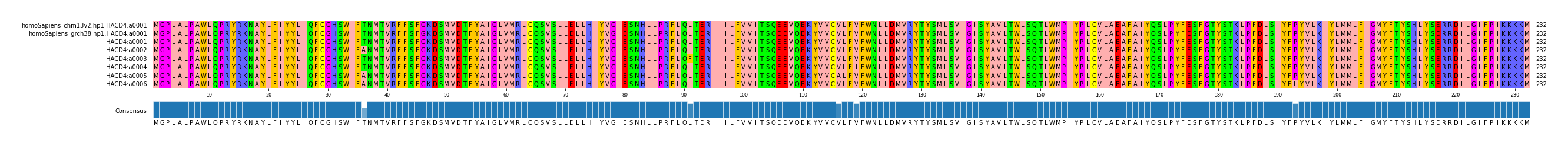 Multiple Alignments (by translate haplotype frequency)