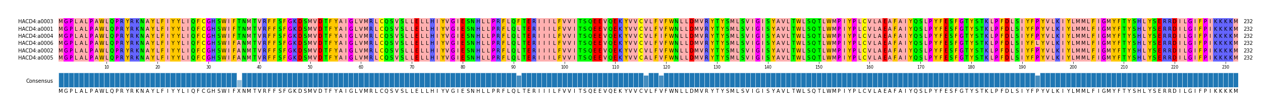 Multiple Alignments (by translate haplotype similarity)