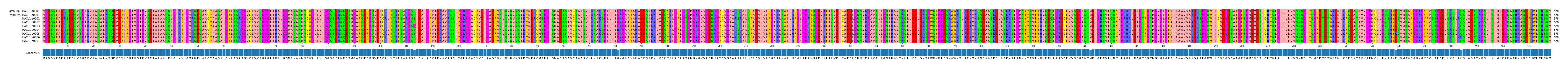 Multiple Alignments (by translate haplotype frequency)