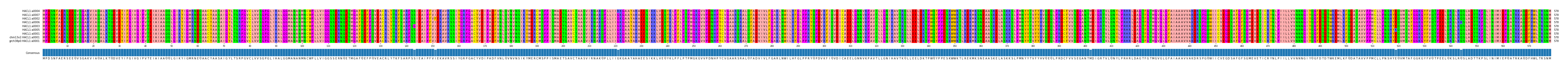 Multiple Alignments (by translate haplotype similarity)