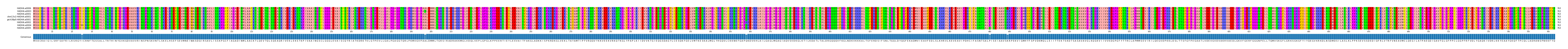 Multiple Alignments (by translate haplotype similarity)
