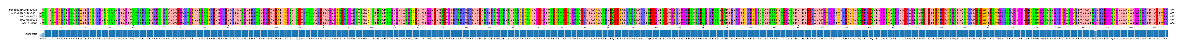 Multiple Alignments (by translate haplotype frequency)